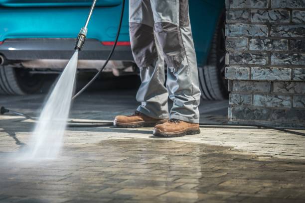 Best Dumpster Area Cleaning  in Emmetsburg, IA