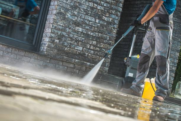 Best Gutter Cleaning  in Emmetsburg, IA