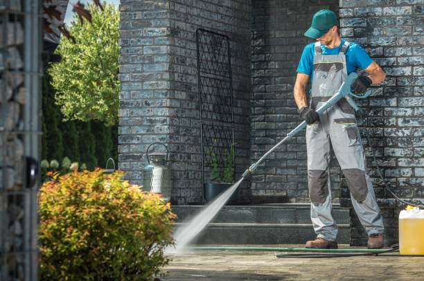 Best Animal Enclosure Cleaning  in Emmetsburg, IA