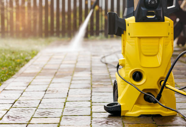 Best Fence Cleaning  in Emmetsburg, IA